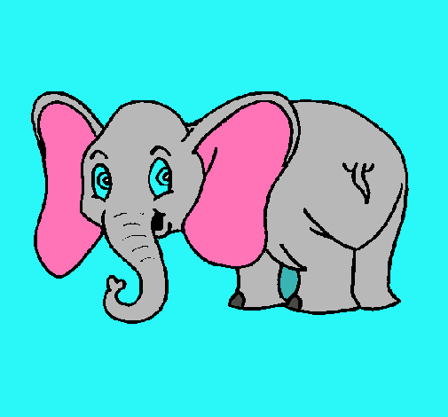 Elefante pequeño