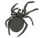Dibujo Araña venenosa pintado por bbbbbbbbbbbb