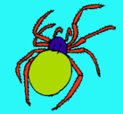 Dibujo Araña venenosa pintado por rosis_31