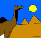 Dibujo Camello pintado por irenenavas
