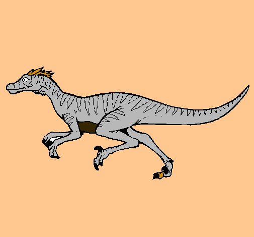 Velociraptor