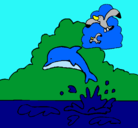 Dibujo Delfín y gaviota pintado por santitop