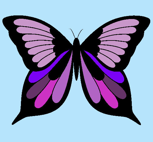 Mariposa 8