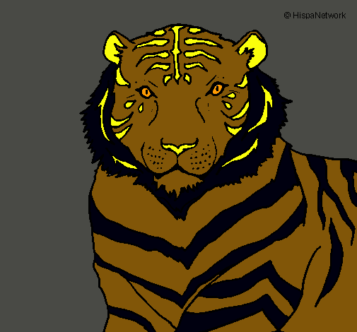 Tigre