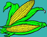 Dibujo Mazorca de maíz pintado por ramses
