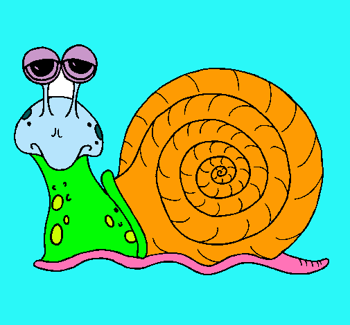 Caracol