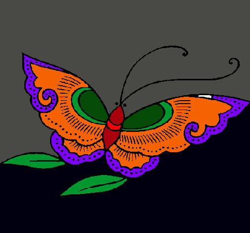 Mariposa