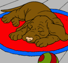 Dibujo Perro durmiendo pintado por roci11