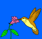 Dibujo Colibrí y una flor pintado por Laurapx 