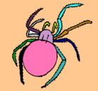 Dibujo Araña venenosa pintado por anircita