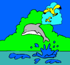 Dibujo Delfín y gaviota pintado por jonas