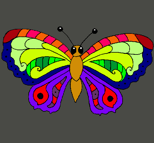 Mariposa