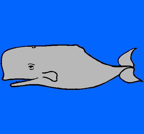 Ballena azul