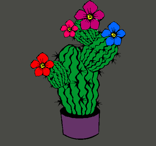 Flores de cactus