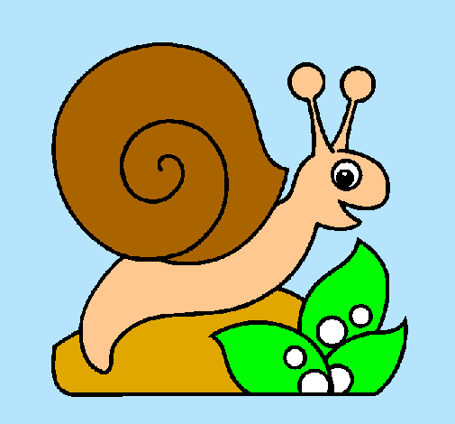 Caracol