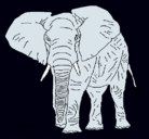 Dibujo Elefante pintado por elefante