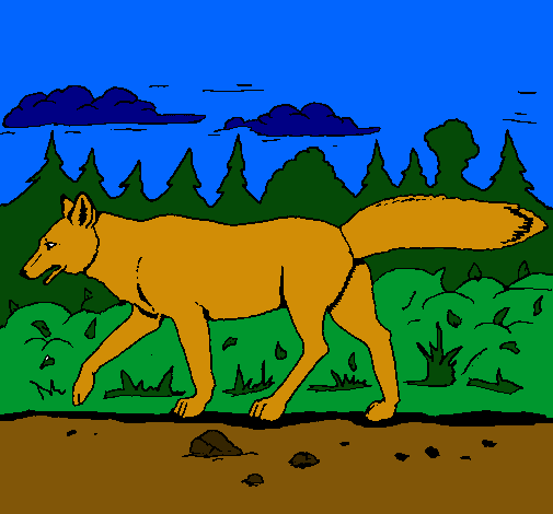 Dibujo Coyote pintado por bizz