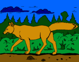 Dibujo Coyote pintado por bizz