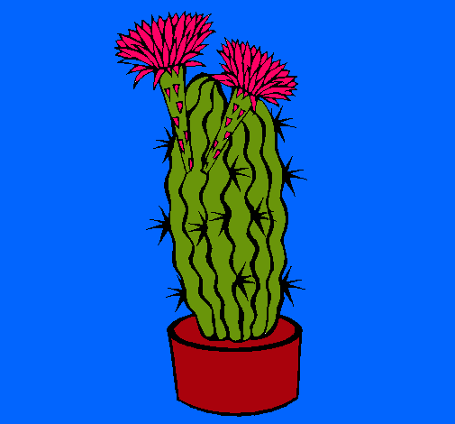 Cactus con flores