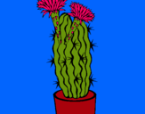 Dibujo Cactus con flores pintado por 1004