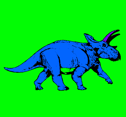 Triceratops