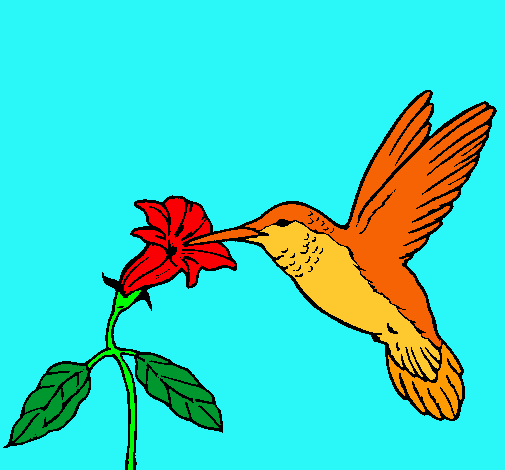 Dibujo Colibrí y una flor pintado por michell