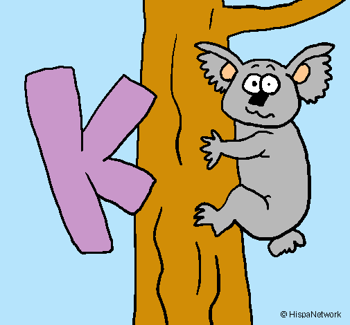 Koala