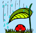 Dibujo Mariquita protegida de la lluvia pintado por ariaccna