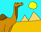 Dibujo Camello pintado por jerm