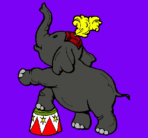 Elefante