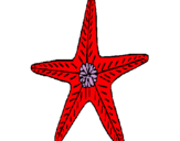 Dibujo Estrella de mar pintado por Lisam