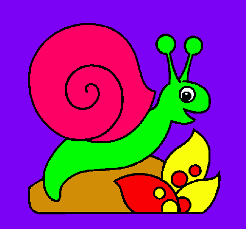 Caracol