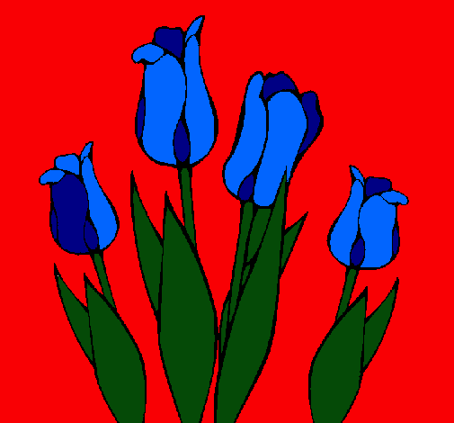 Tulipanes