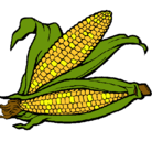 Dibujo Mazorca de maíz pintado por calemd