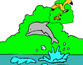 Dibujo Delfín y gaviota pintado por anderson