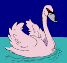 Dibujo Cisne en el agua pintado por PINTADO