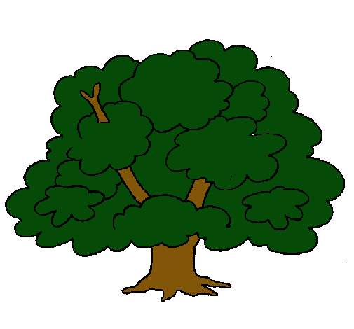 Árbol