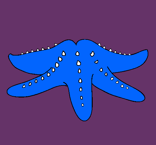 Estrella de mar