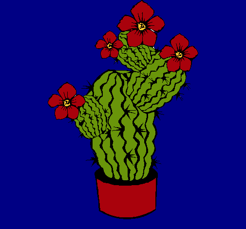 Flores de cactus