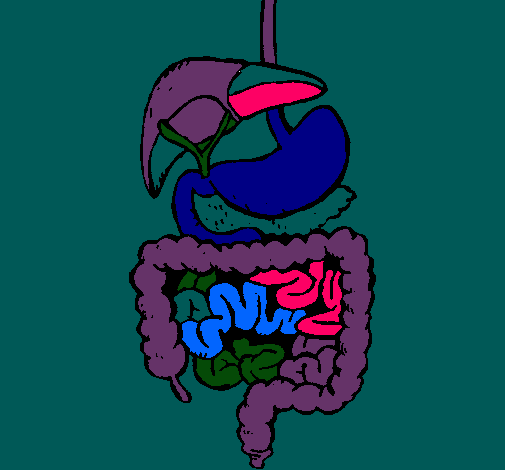 Intestinos