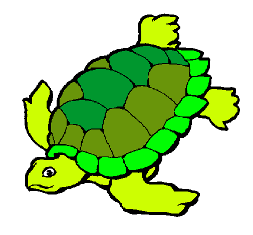 Tortuga