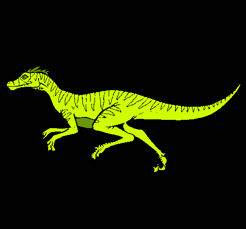 Velociraptor