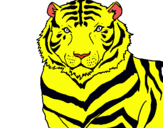 Dibujo Tigre pintado por vicente-