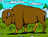 Dibujo Búfalo  pintado por kenji