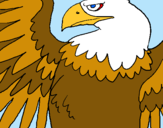 Dibujo Águila Imperial Romana pintado por Erick8
