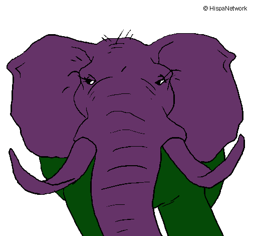 Elefante africano