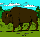 Dibujo Búfalo  pintado por bisonte 