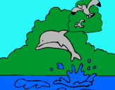 Dibujo Delfín y gaviota pintado por christi