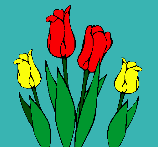 Tulipanes