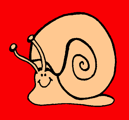 Caracol 